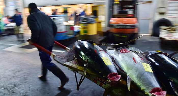 Water at Tokyo market site contains benzene exceeding norms by 79 times, Cyanide 